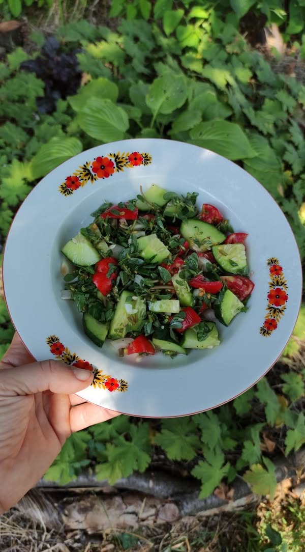 No photo description available.